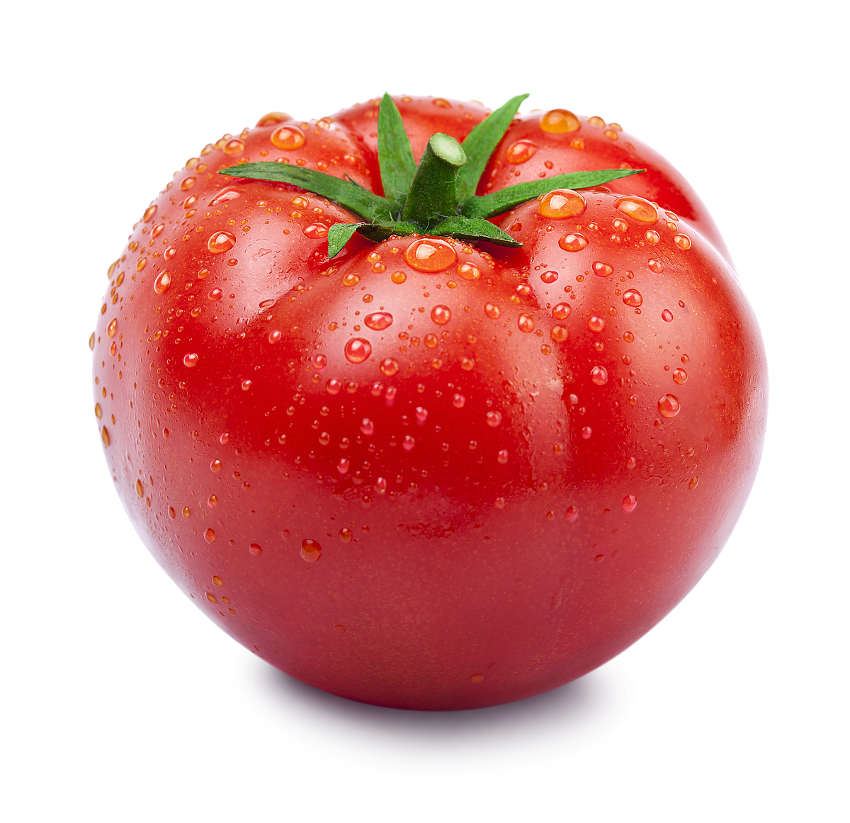 Key Transcription Factor SlERF.F4 Found to Strengthen Tomato Resistance to Gray Mold