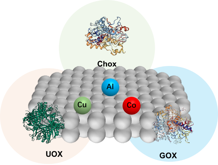 Novel Nanozyme Powers Real-time Monitoring of Multiple Sweat Biomarkers