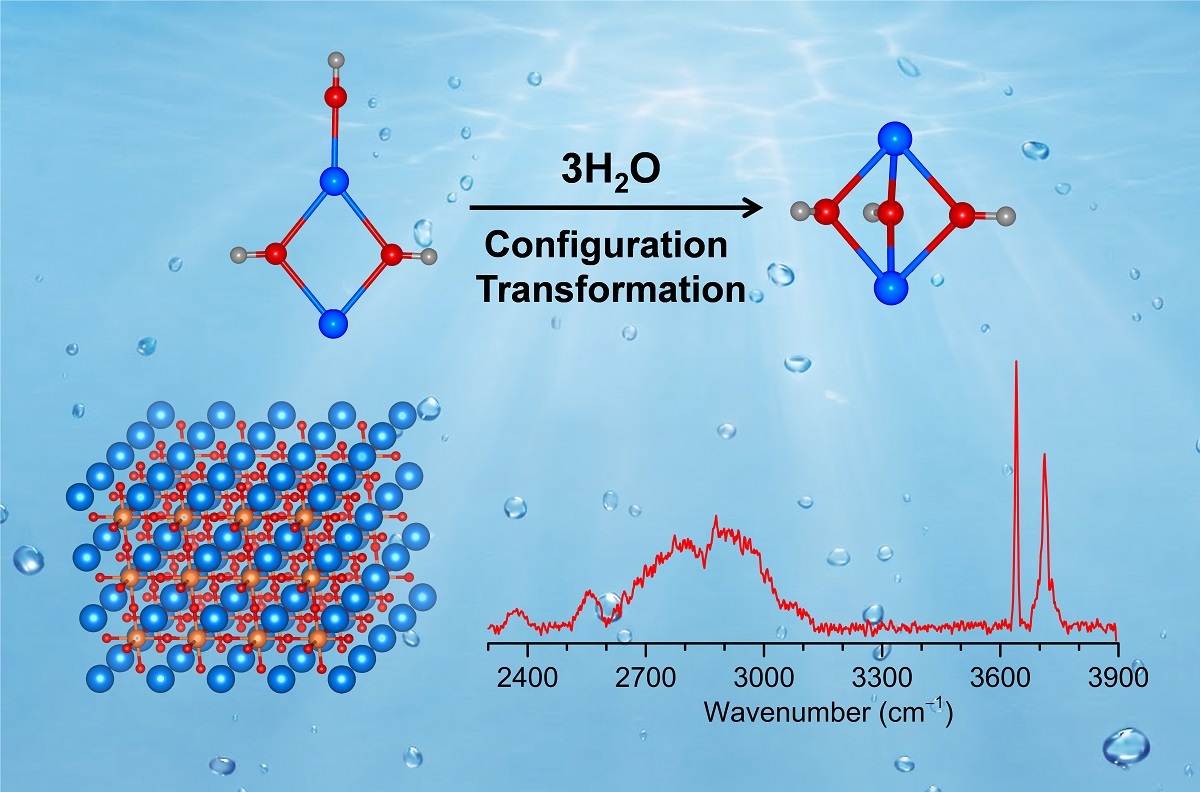 Water Molecules Trigger Structural Transformation in Neutral Metal Hydroxide Clusters