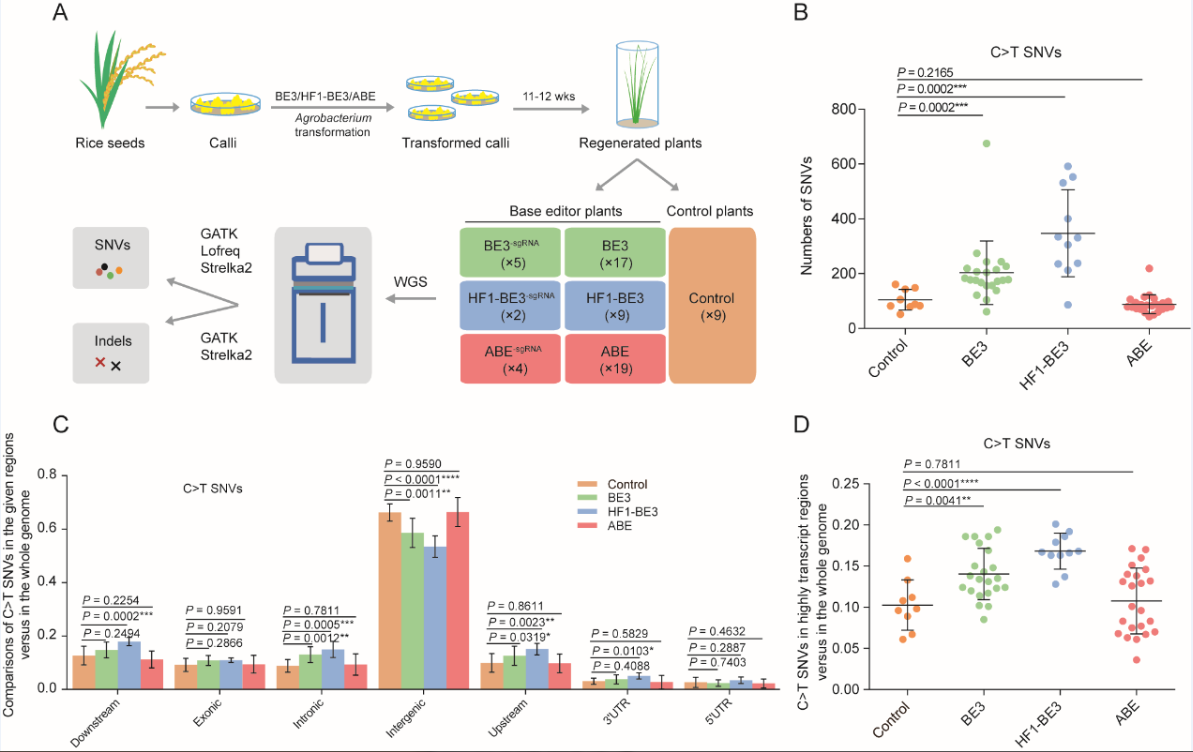 Experimental design and work flow.png