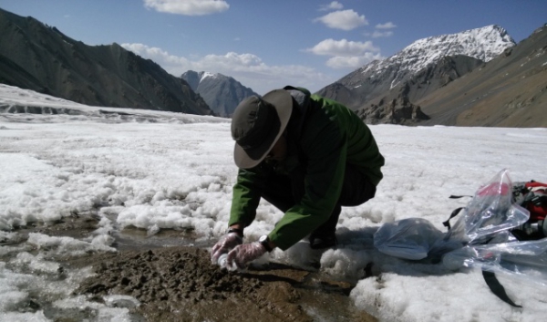 Field sampling of cryoconite.jpg