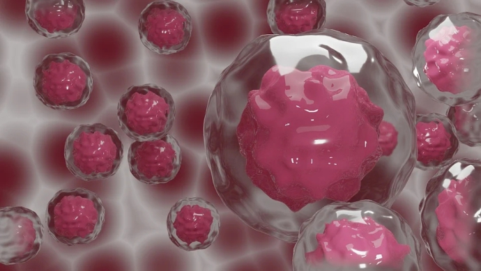 stem cells.jpg