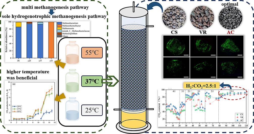 Graphical abstract of the biotrickling filter improves the hydrogen-methane conversion efficiency