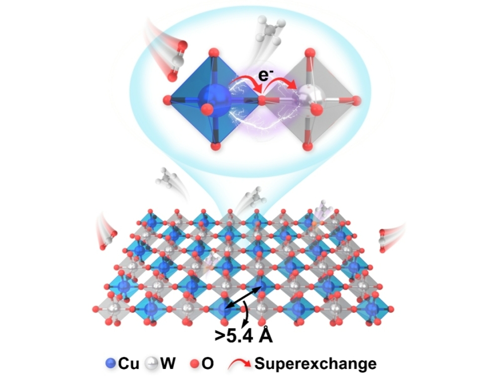 The schematic diagram of B-site rock-salt order Sr2CuWO6 with long Cu-Cu distance and superexchange interaction for electromethanation