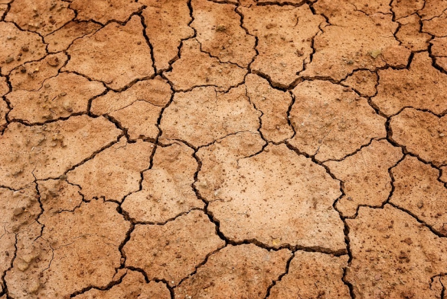 dry and cracked land.jpg