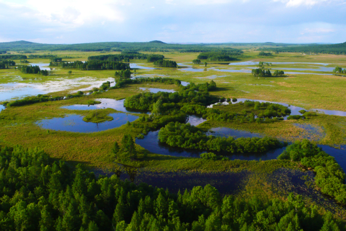 Scientists Improve Accuracy of Lost Wetland Dataset in China Side of Amur River Basin