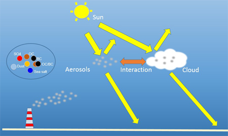 New Online Coupled Aerosol Climate Model to Better Understand Aerosol's Climate Effects