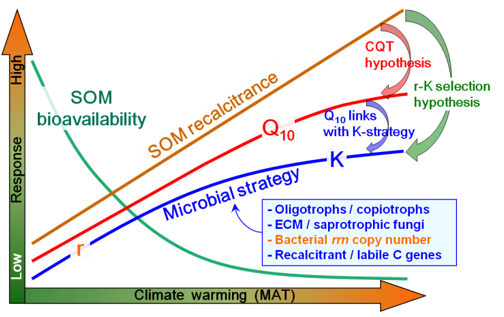 Eco-strategies of Soil Microbes Control Temperature Sensitivity of Organic Matter Decomposition