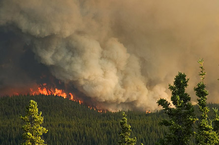 canada wildfire.jpg