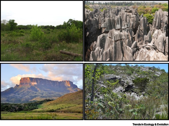 Examples of habitats that support edaphic specialists  .jpg