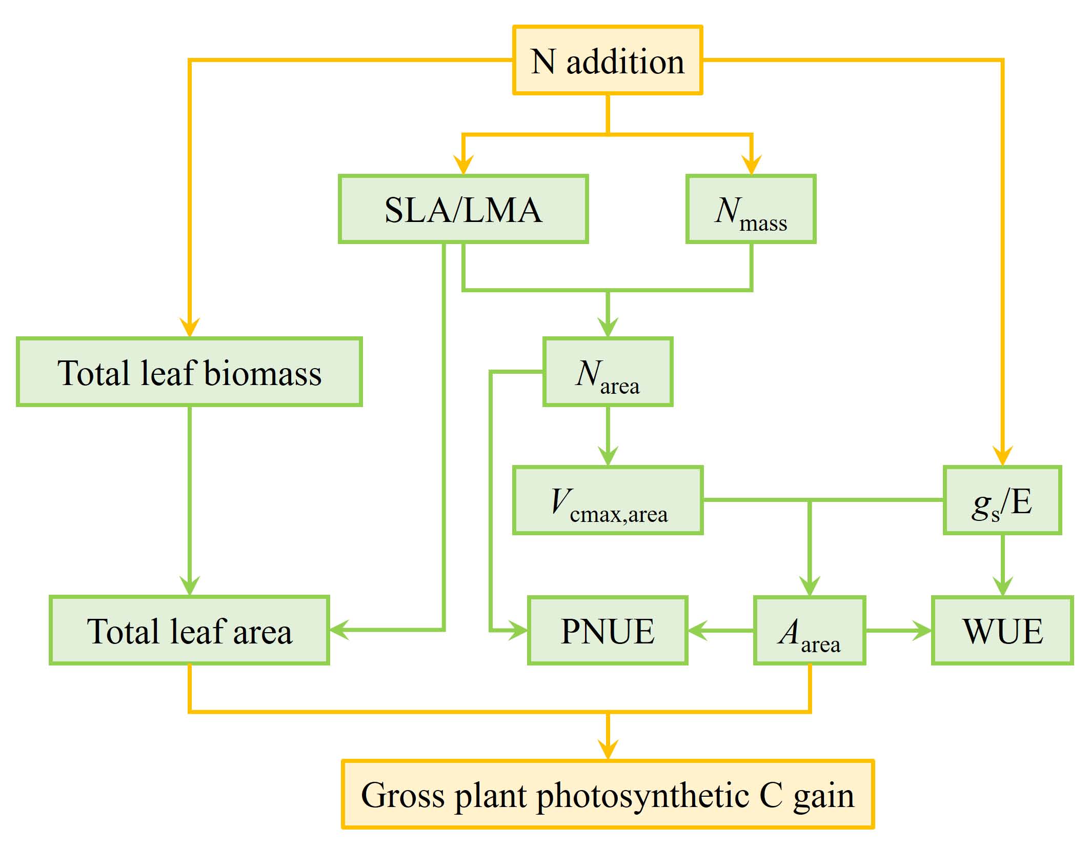 Conceptual model.jpg