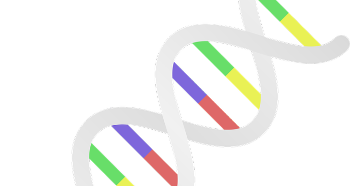 RNA.png