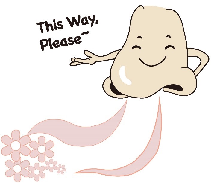 Humans Navigate with Stereo Olfaction