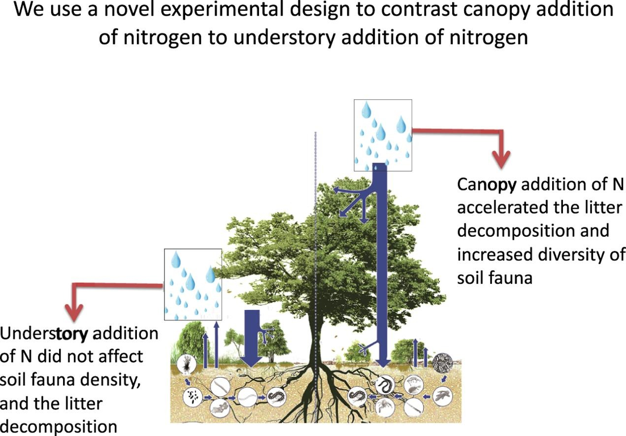 Effects of canopy nitrogen addition on soil fauna and litter decomposition rate in a temperate forest and a subtropical forest.png
