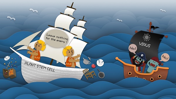 Mystery Solved: How Do Tips of Plants Stay Virus-free?