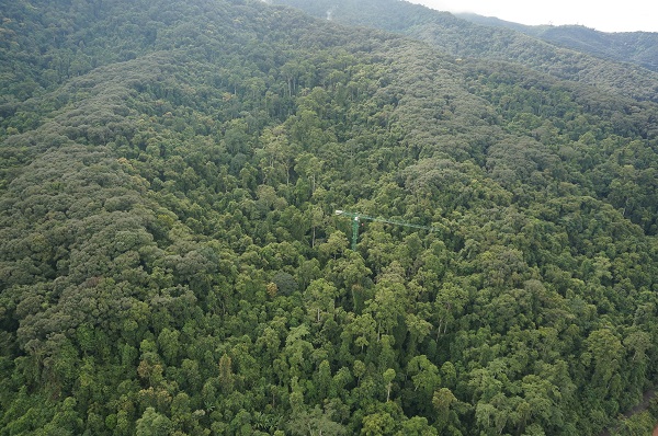 Rare Species Occupy Outlying Niches to Avoid Competition with Common Species