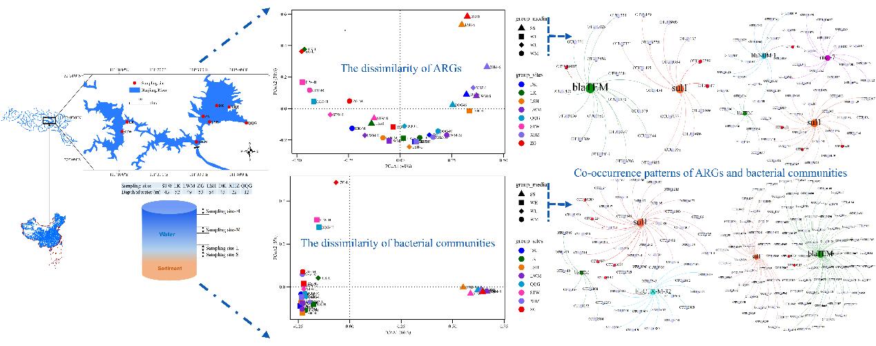 Research Dissects Vertical and Horizontal Distributions of Antibiotic Resistance Genes and Bacterial Communities