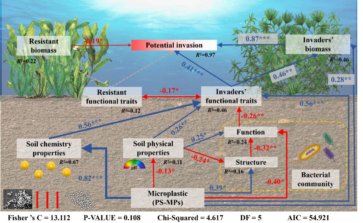 The effect of polystyrene microplastics on the invasiveness of exotic submerged macrophytes (Image by WBG).jpg