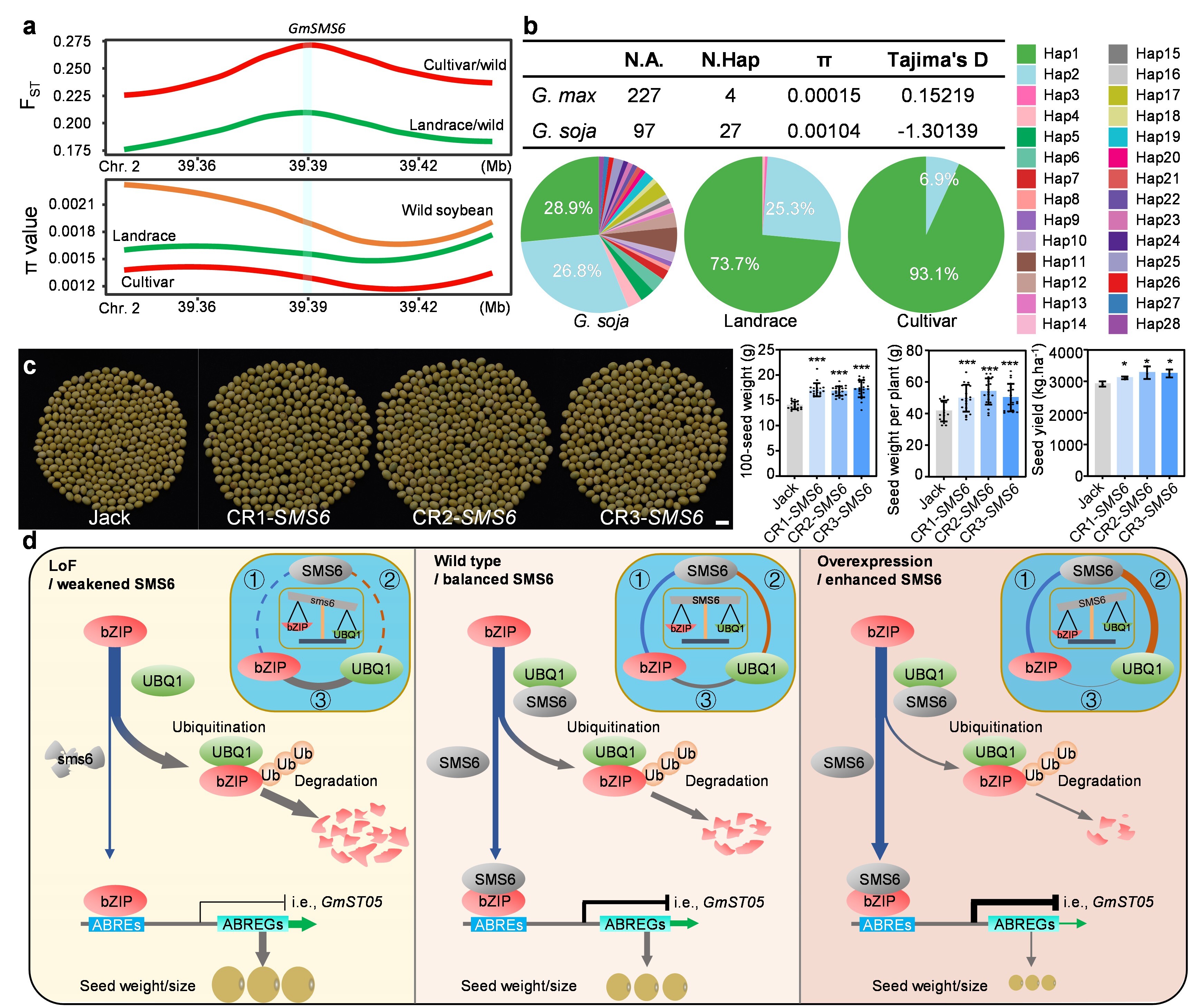 Soybean Gene <em>GmSMS6</em> Identified as Key Modulator of Seed Weight and Quality