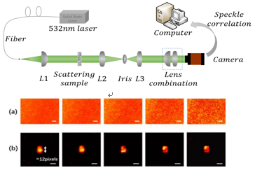 Experimental setup of speckle autocorrelation imaging