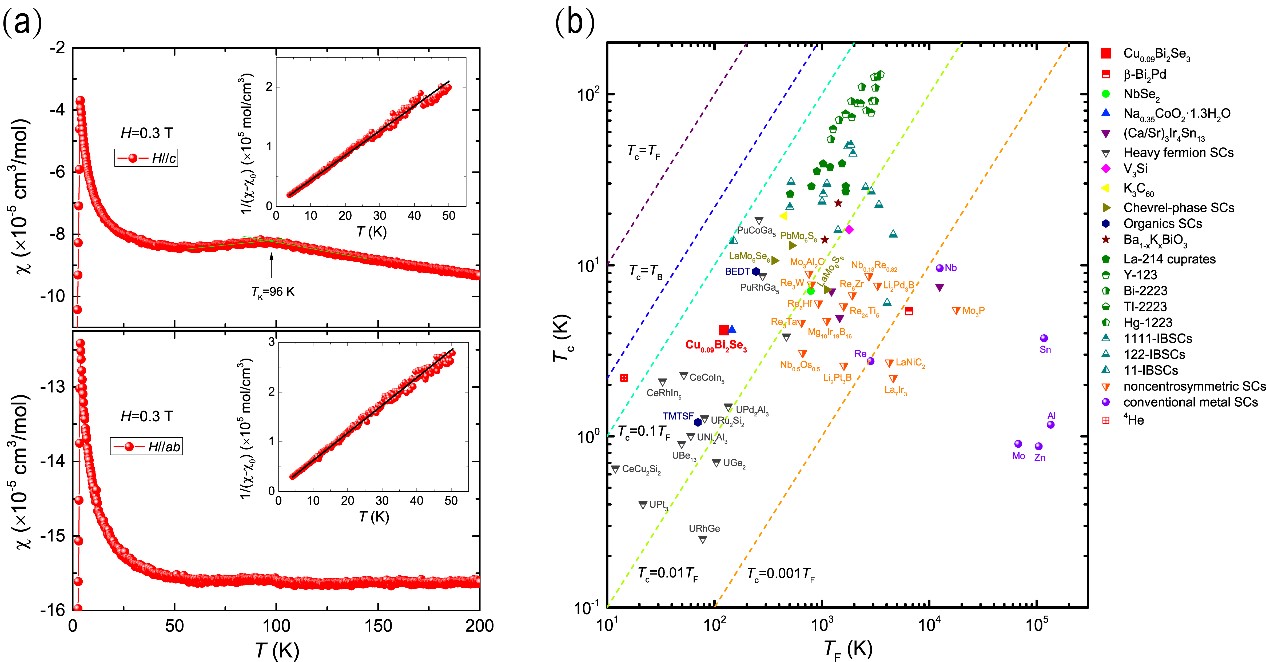 Cu<sub>x</sub>Bi<sub>2</sub>Se<sub>3</sub>: New Evidence on Unconventional Superconductivity