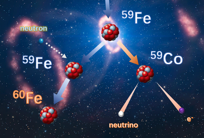 nucleosynthesis in massive stars