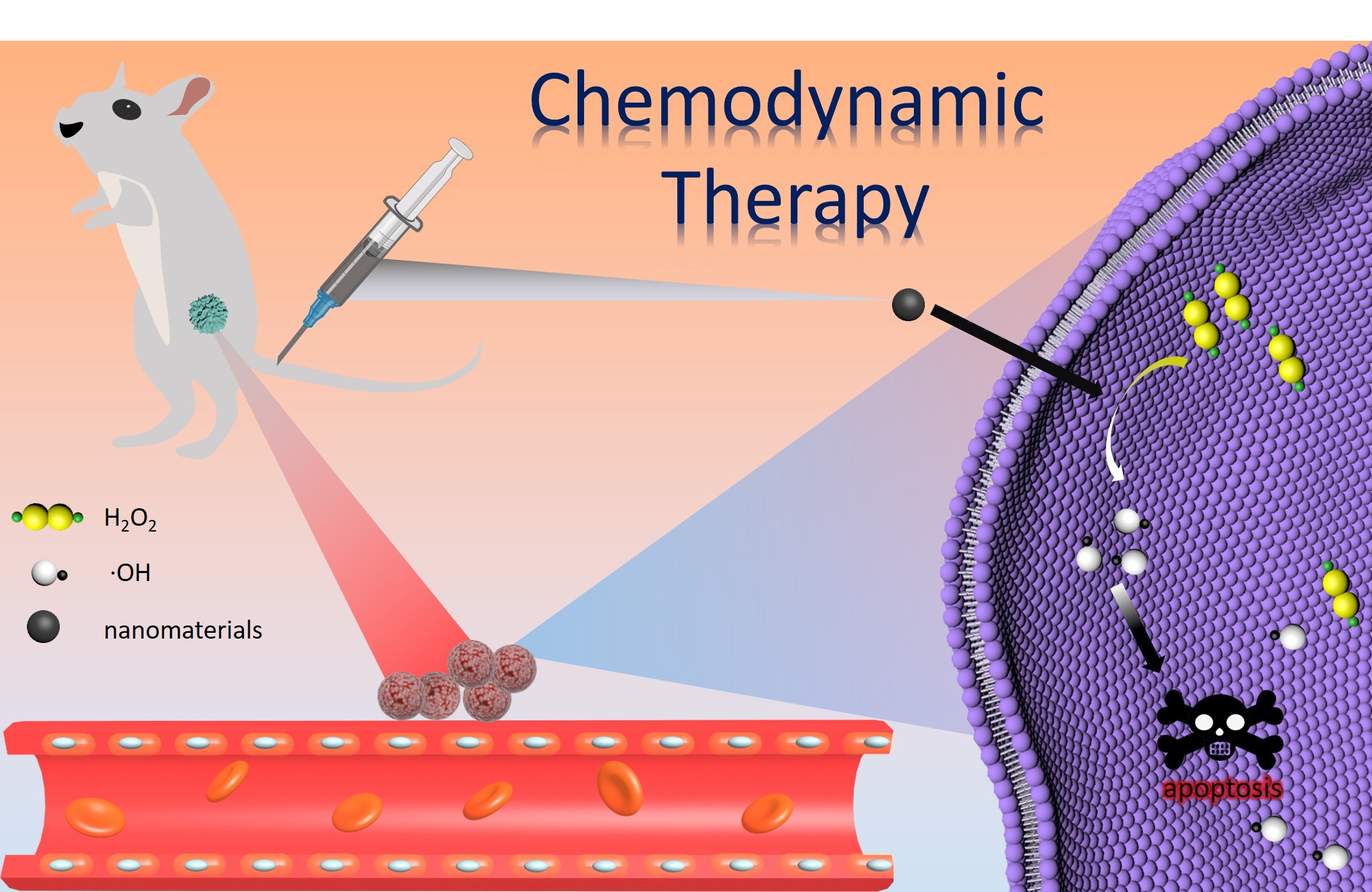 Researchers Outline Future Direction of Peroxidase in Chemodynamic Therapy