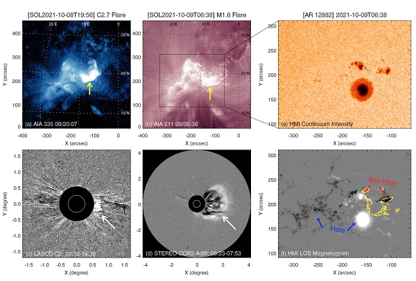 Evolution of Emerging Anti-Hale Region and Associated Eruptive Solar Flares