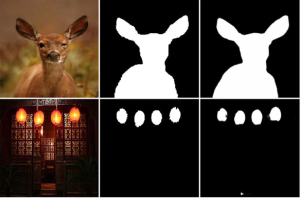 Salient Object Detection Makes Computer Vision Smarter