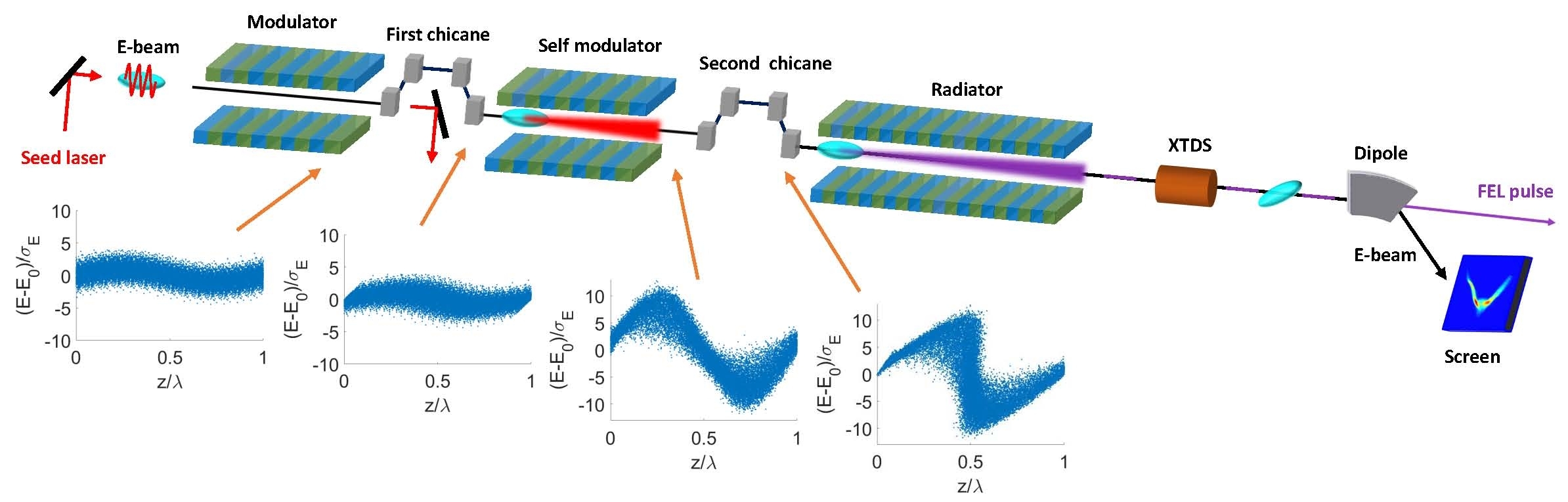 The self-modulation scheme together with the electron-beam longitudinal phase spaces