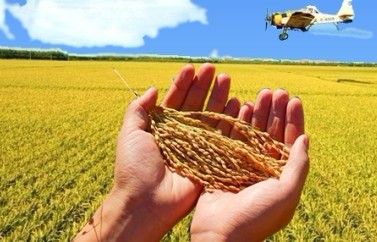 4th International Symposium on Frontiers in Agriculture Proteome