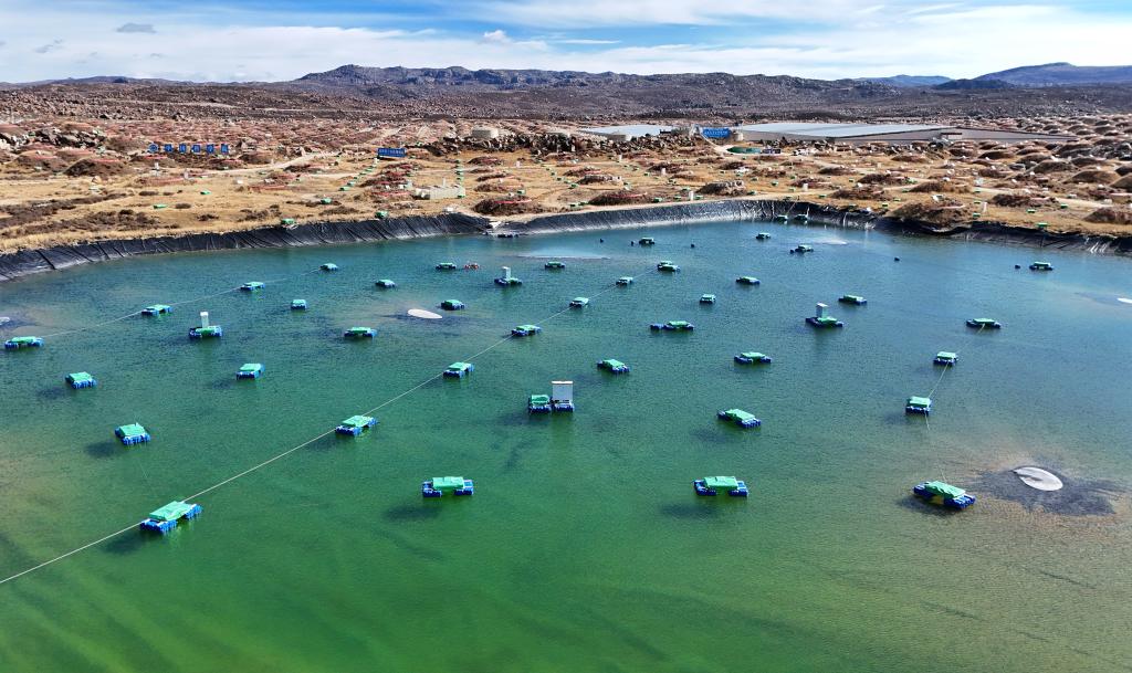 A Visit to LHAASO, the World-leading Cosmic Ray Observatory