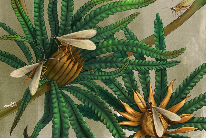 Amber Specimens Reveal Origin of Long Mouthpart of Scorpionflies
