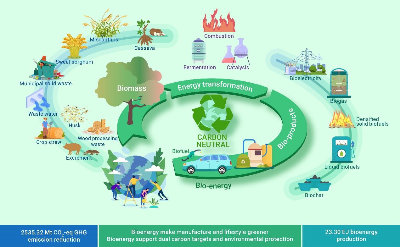 Researchers Evaluate Energy Conservation and Carbon Reduction Potential for Biomass Energy Conversion