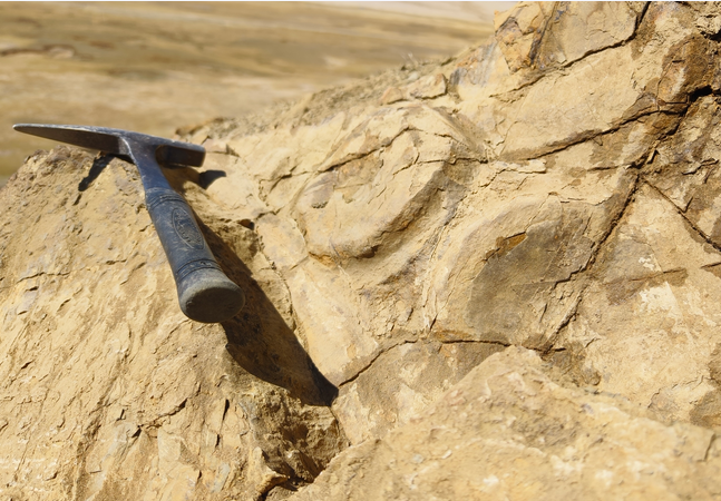 Chinese Scientists Find Fossil of Large Extinct Marine Reptile Ichthyosaurs for the Second Time Since 1960s