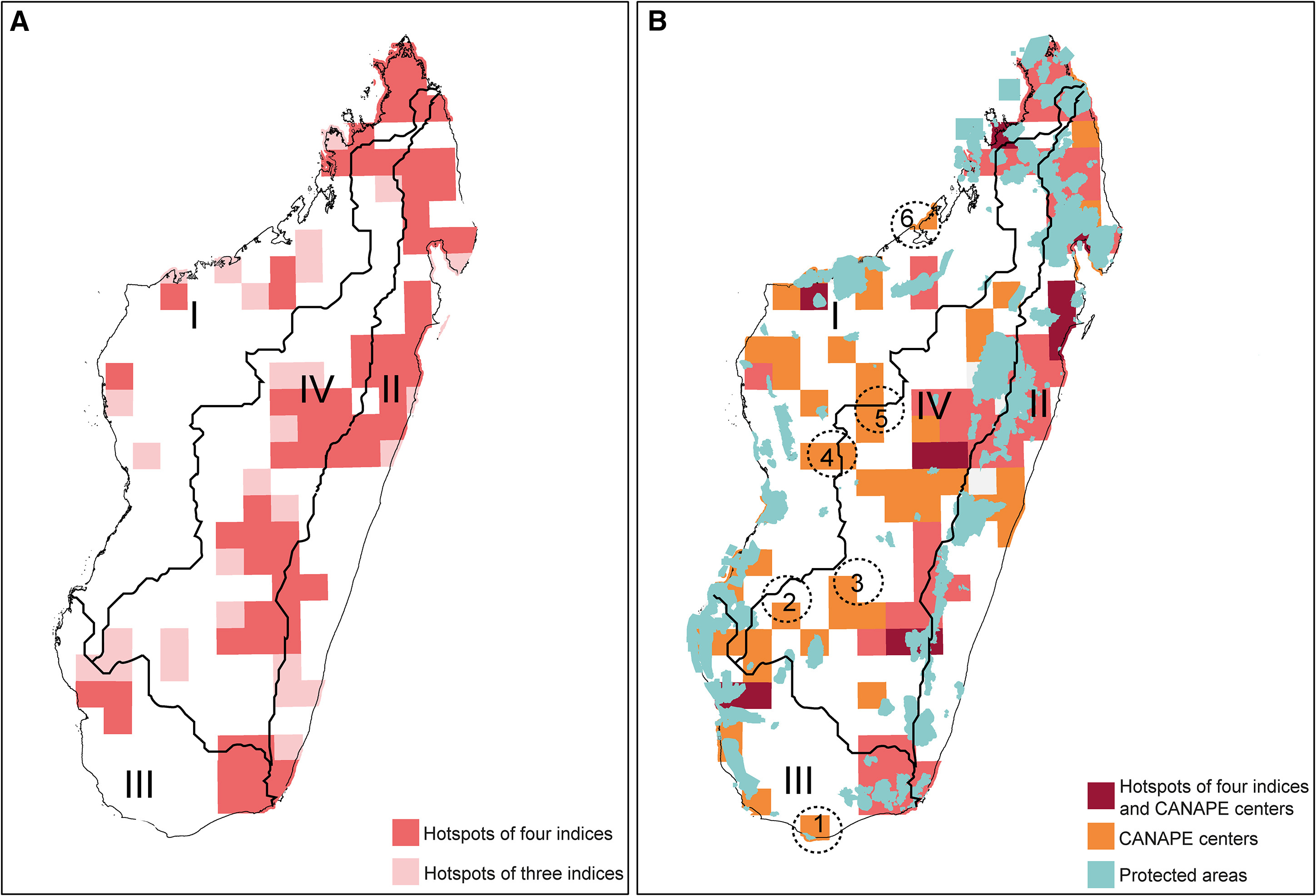 Scientists Identify Biodiversity Conservation Gaps in Madagascar
