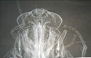 A phase contrast image of a fly head obtained by CAS researchers.