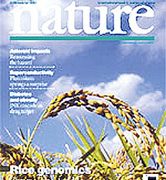 The report of the accurate genome sequence of rice show up as the cover story in <I>Nature</I> on Nov. 21.  (picture: <I>Nature</I>)
