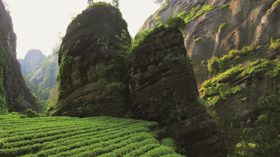 Wuyishan Biosphere Reserve