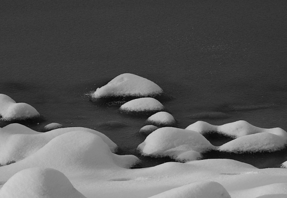 Water Flux Recovers Asynchronously after Snow Damage in Subtropical Forest