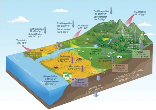 Soil Acidification May Accelerate Soil Inorganic Carbon Turnover