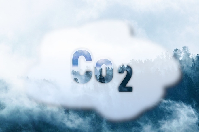 Spatial Variation in CO<sub>2</sub> Concentrations Regulates Carbon Uptake in Northern Hemisphere