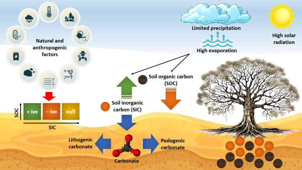 Desert Ecosystems Emerge as Frontiers for Carbon Sequestration and Climate Action, New Review Finds