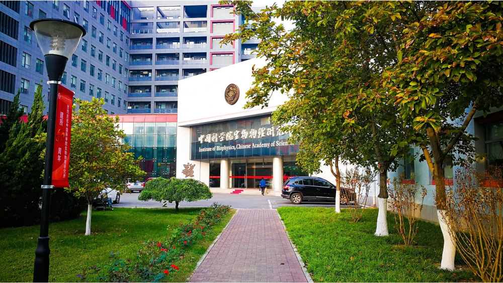 Autumn scenery at the Institute of Biophysics