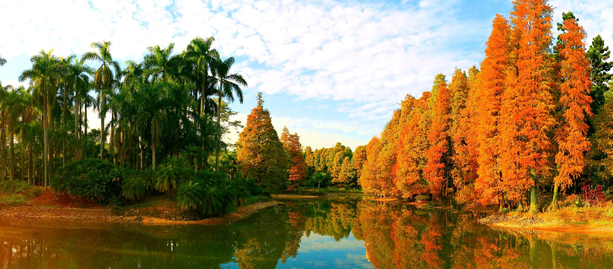 Longdong Qilin of South China Botanical Garden