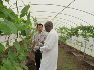 China-Africa Joint Center for Research and Education.jpg