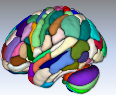New Human Brain Atlas Created