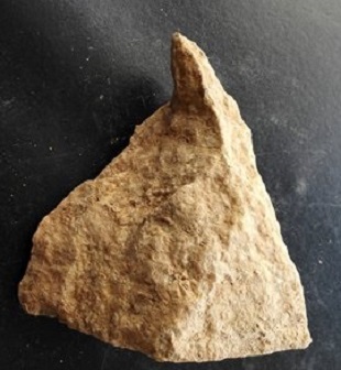 Stone Tools Found in Northwest China Point to Human Life 2.1m Years Ago