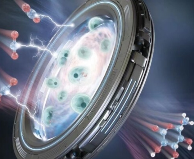 Hybrid Electro-biosystem Upcycles Carbon Dioxide into Energy-rich Long-chain Compounds