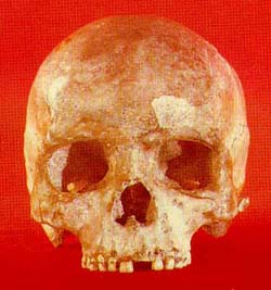 Homo Liujiang cranium fossil